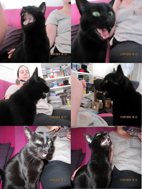 2010-07-15 Fin de GTA4_l.jpg